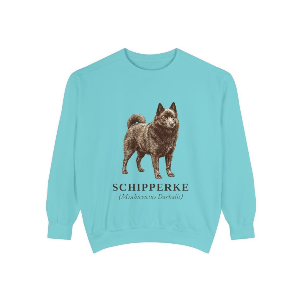 schipperke-sweatshirt-latin-chalky-mint Schipperke Latin Sweatshirt, Chalky Mint, front view