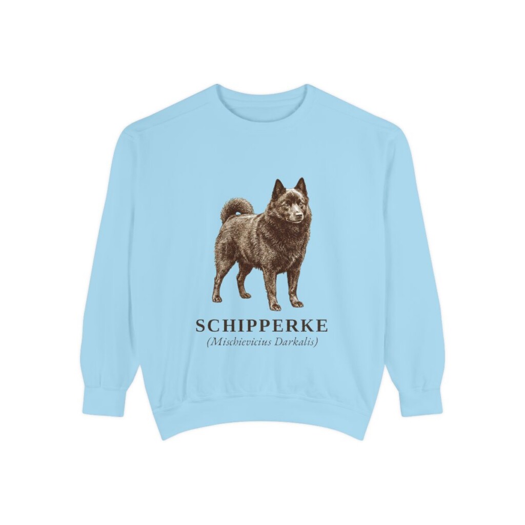 schipperke-sweatshirt-latin-chambray Schipperke Latin Sweatshirt, Chambray, front view