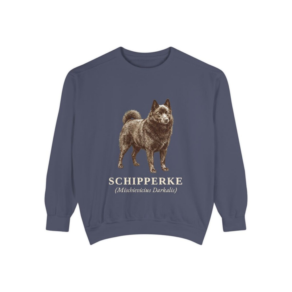 schipperke-sweatshirt-latin-denim Schipperke Latin Sweatshirt, Denim, front view