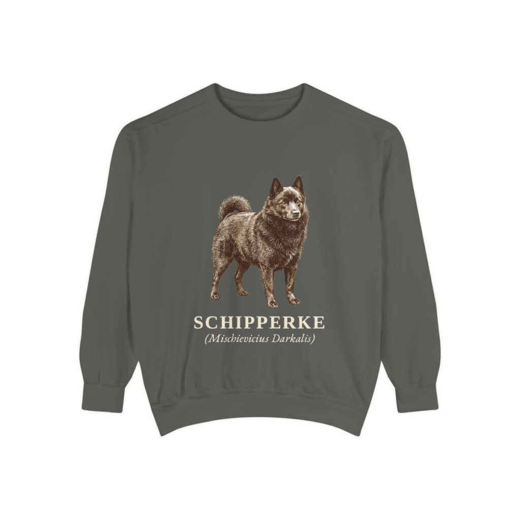 schipperke-sweatshirt-latin-pepper Schipperke Latin Sweatshirt, Pepper, front view