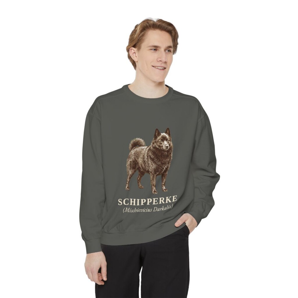 schipperke-sweatshirt-latin-pepper-person-1-front Schipperke Latin Sweatshirt, Pepper, person 1 front