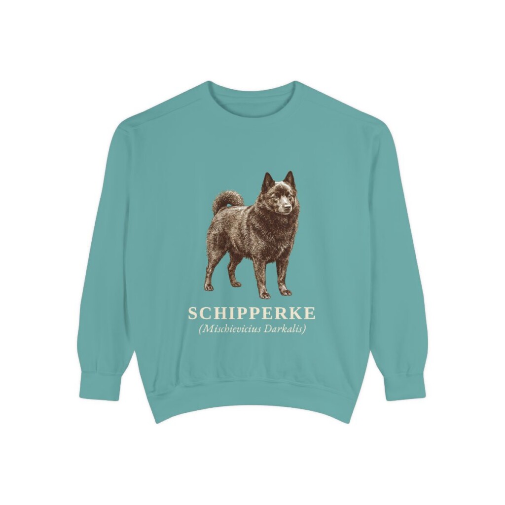 schipperke-sweatshirt-latin-seafoam Schipperke Latin Sweatshirt, Seafoam, front view