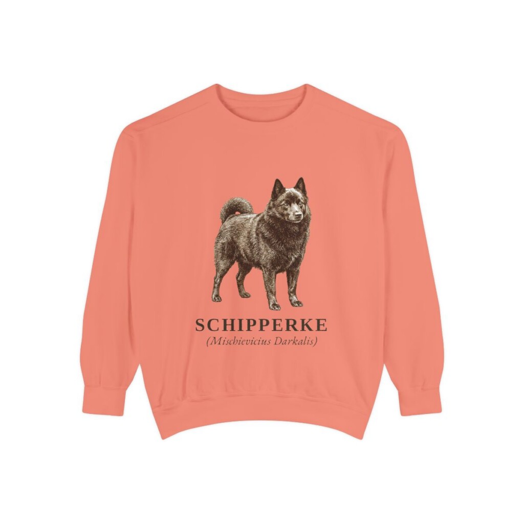 schipperke-sweatshirt-latin-terracotta Schipperke Latin Sweatshirt, Terracotta, front view