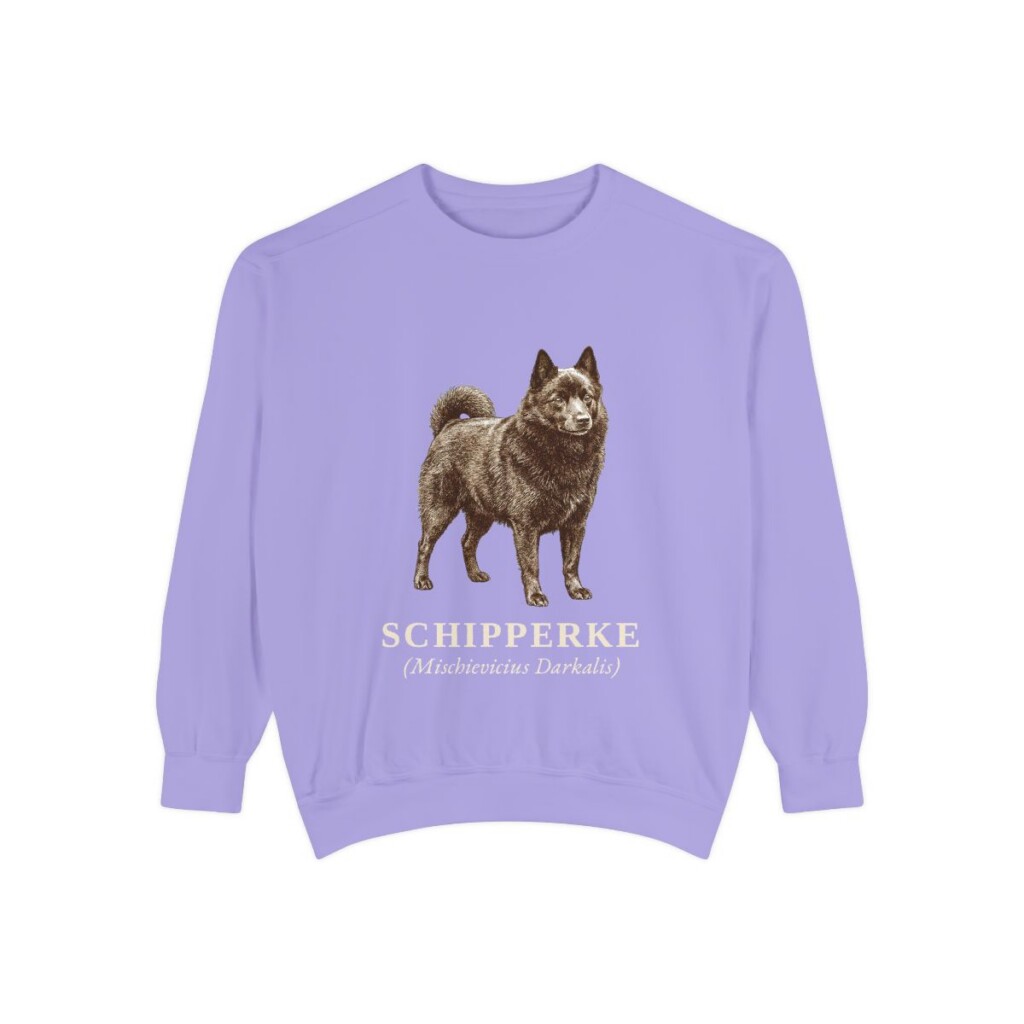 schipperke-sweatshirt-latin-violet Schipperke Latin Sweatshirt, Violet, front view