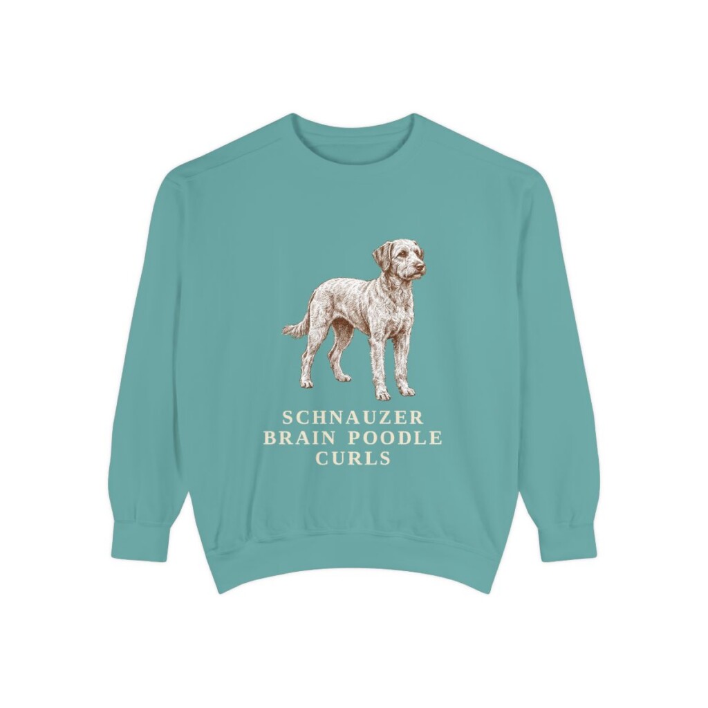 Schnoodle Humor Sweatshirt, Seafoam, front view