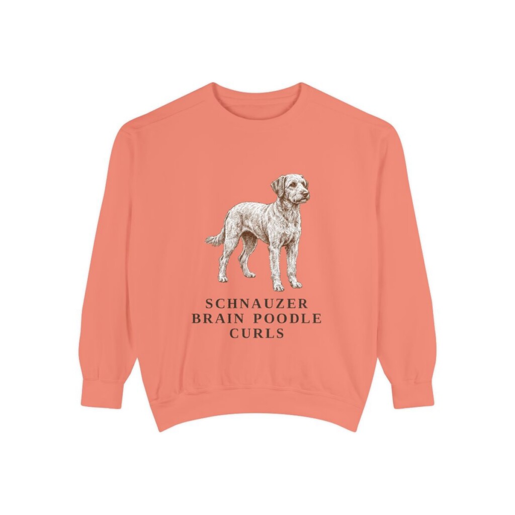 Schnoodle Humor Sweatshirt, Terracotta, front view