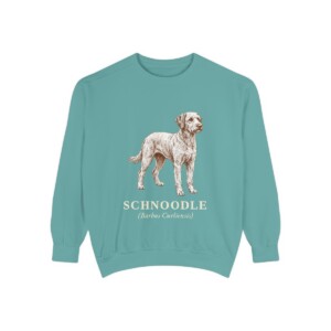 Schnoodle Latin Sweatshirt, Seafoam, front view
