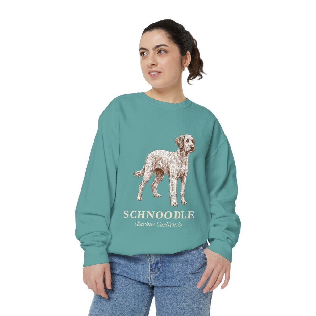 Schnoodle Latin Sweatshirt, Seafoam, person 2 front