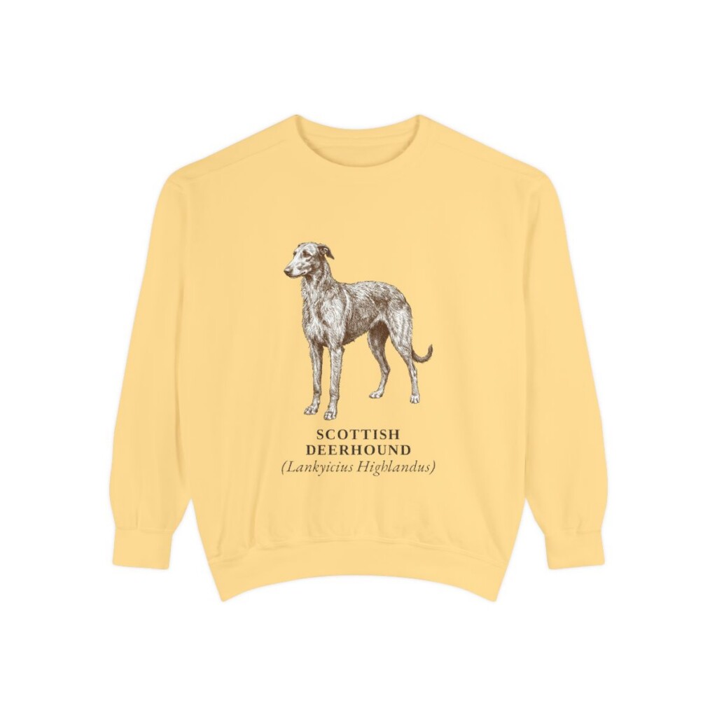 Scottish Deerhound Latin Sweatshirt, Butter, front view