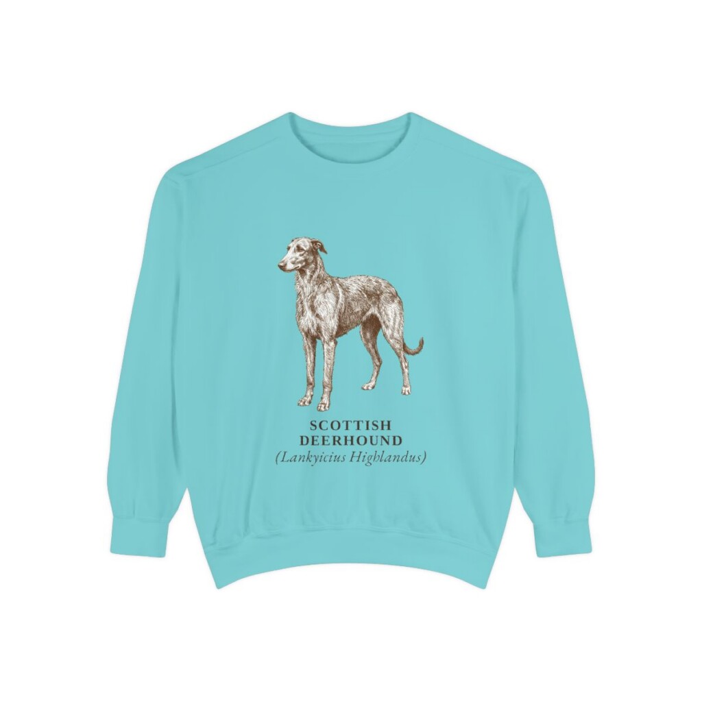 Scottish Deerhound Latin Sweatshirt, Chalky Mint, front view