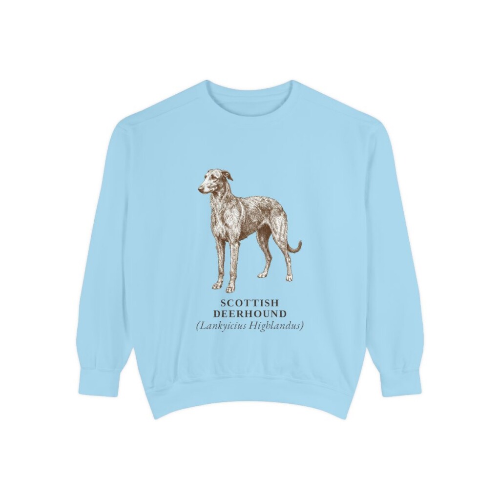 Scottish Deerhound Latin Sweatshirt, Chambray, front view