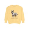 Scottish Terrier Latin Sweatshirt, Butter, front view