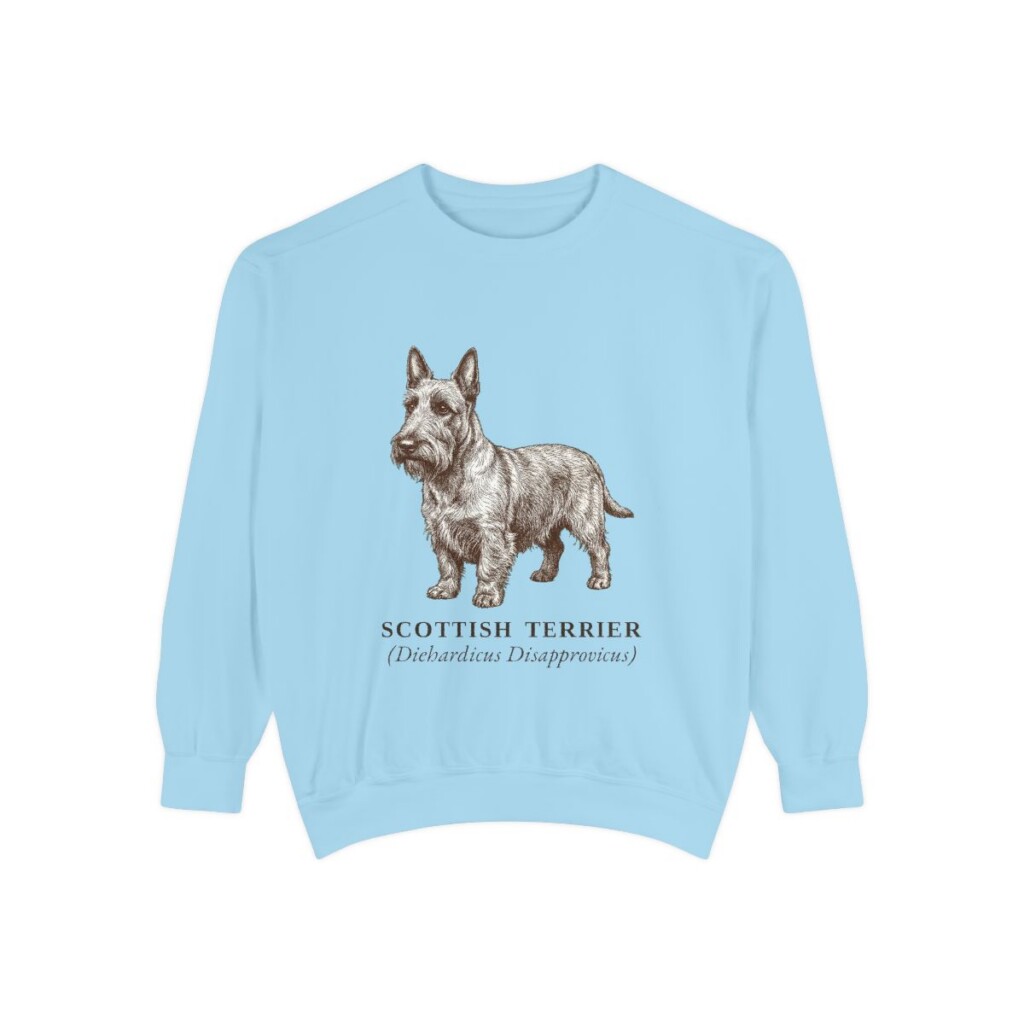 Scottish Terrier Latin Sweatshirt, Chambray, front view
