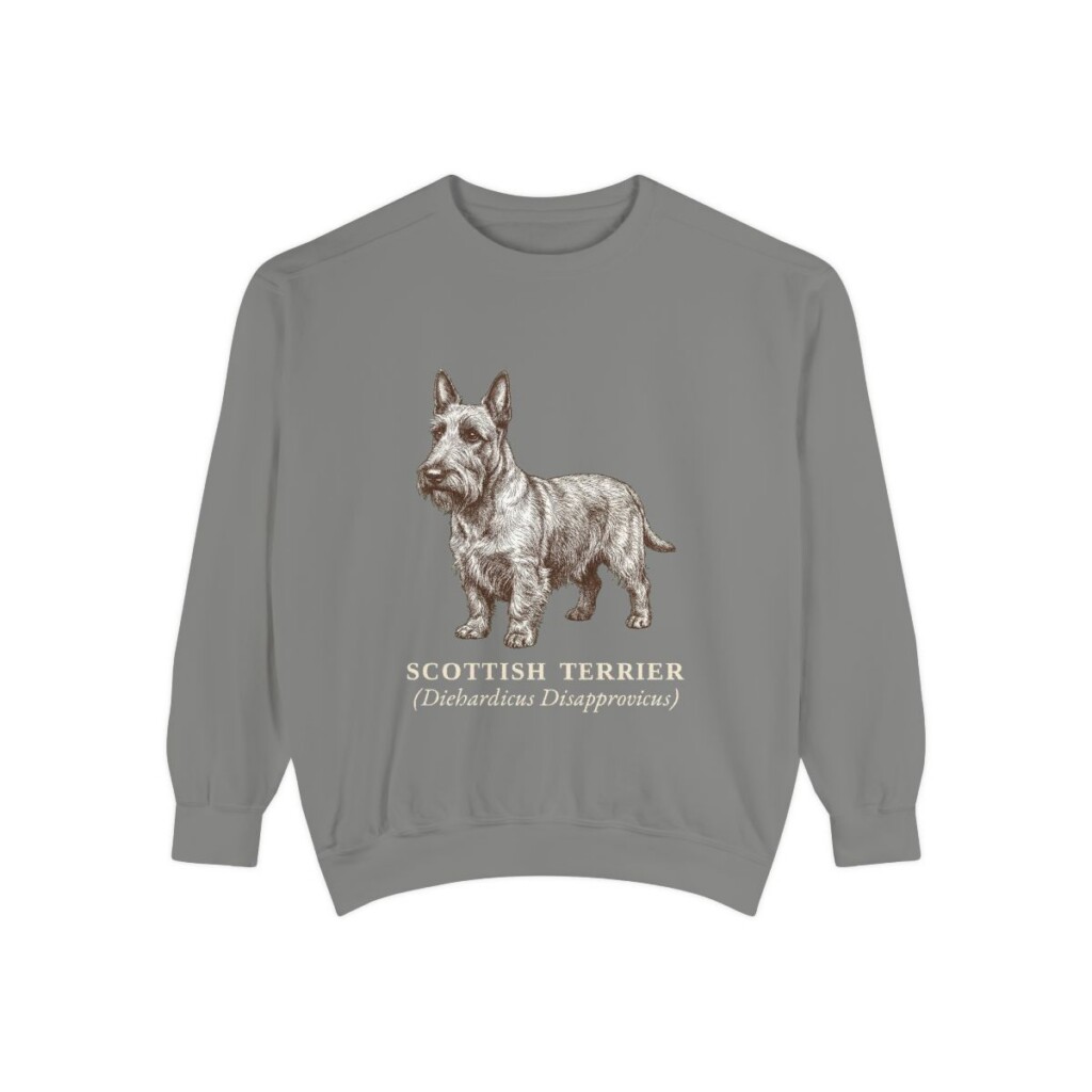 Scottish Terrier Latin Sweatshirt, Grey, front view