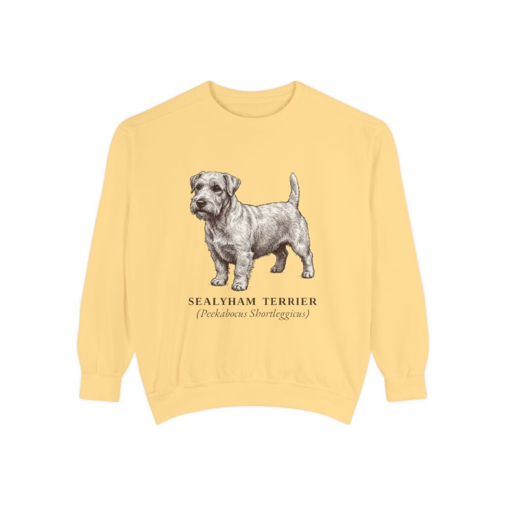 Sealyham Terrier Latin Sweatshirt, Butter, front view