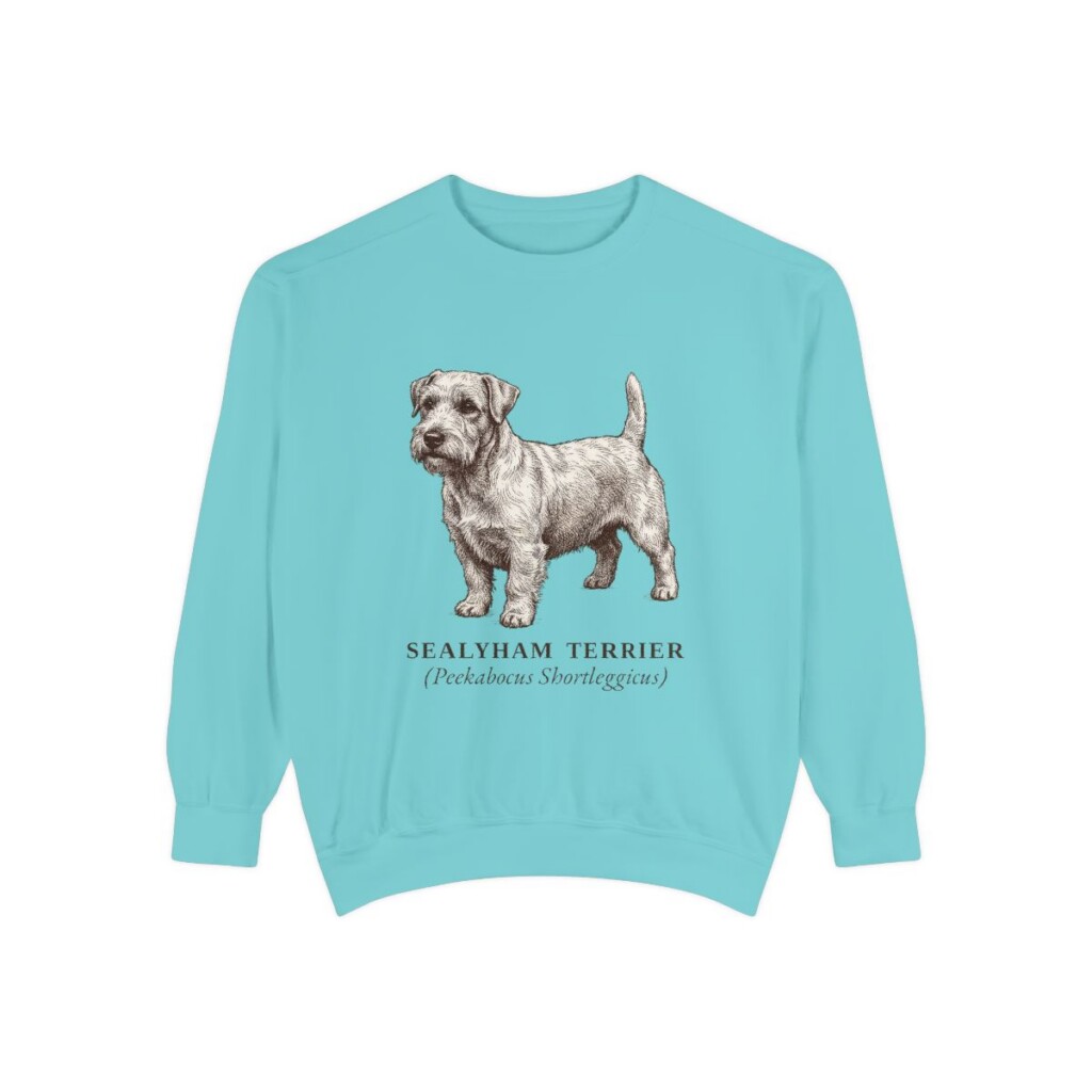 Sealyham Terrier Latin Sweatshirt, Chalky Mint, front view
