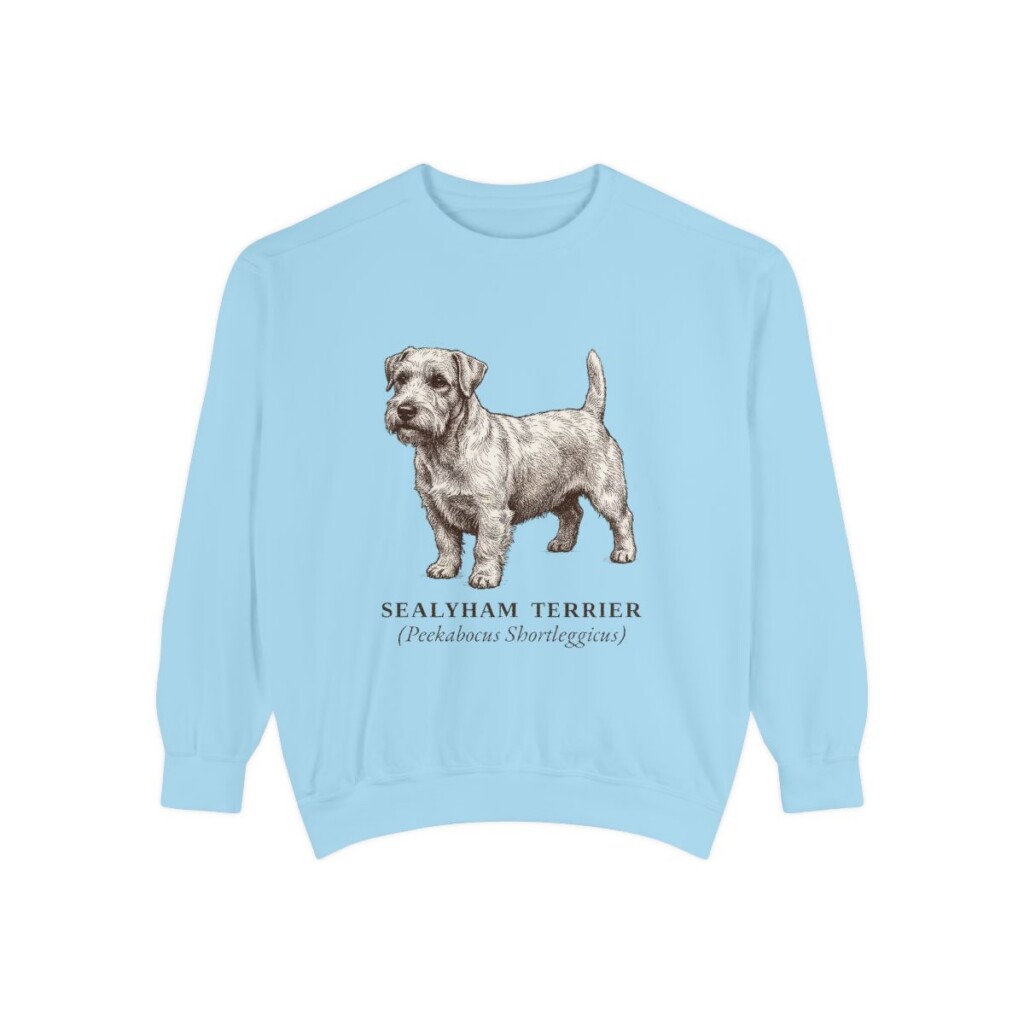 Sealyham Terrier Latin Sweatshirt, Chambray, front view