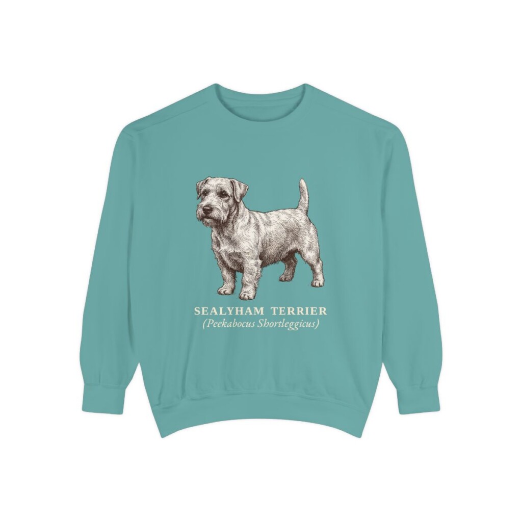 Sealyham Terrier Latin Sweatshirt, Seafoam, front view
