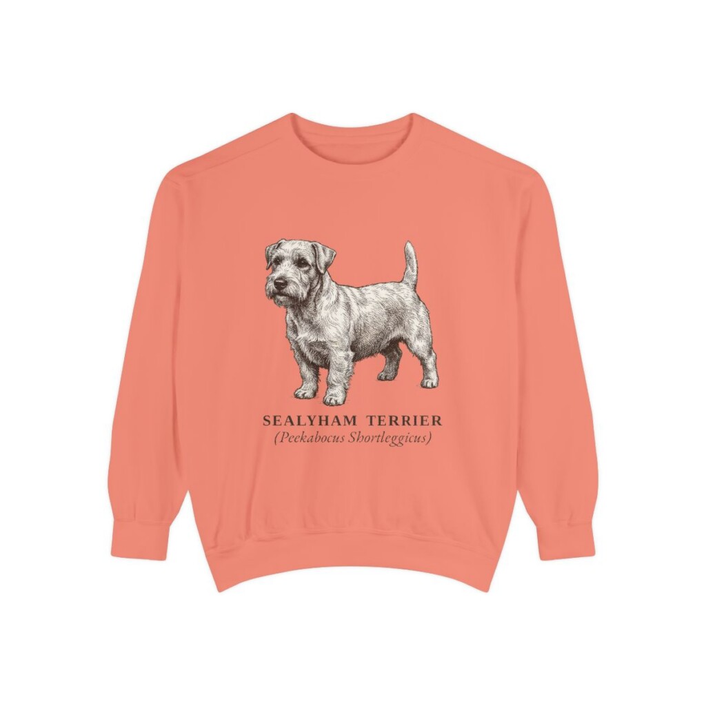 Sealyham Terrier Latin Sweatshirt, Terracotta, front view