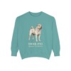 Shar-Pei Latin Sweatshirt, Seafoam, front view