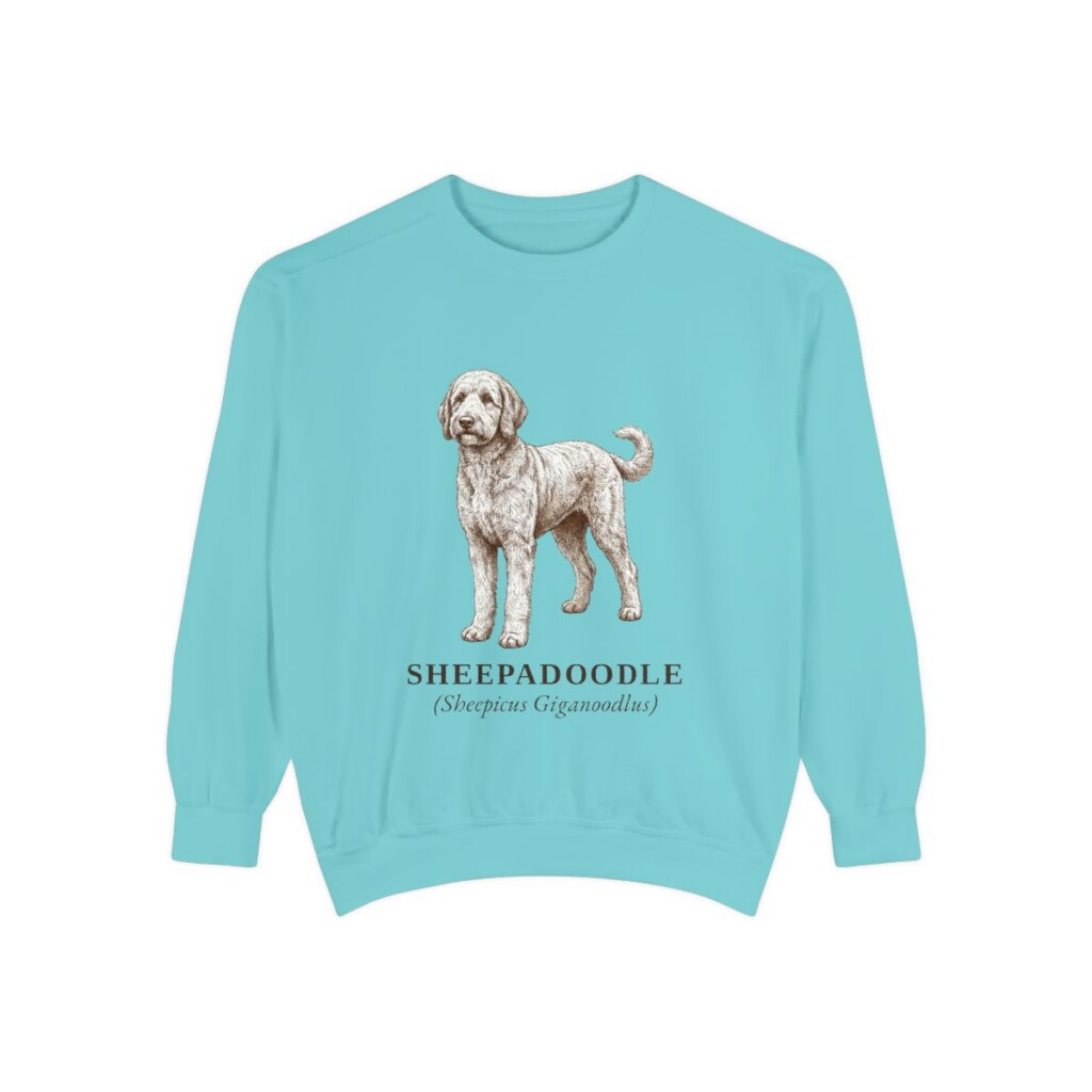 Sheepadoodle Latin Sweatshirt, Chalky Mint, front view