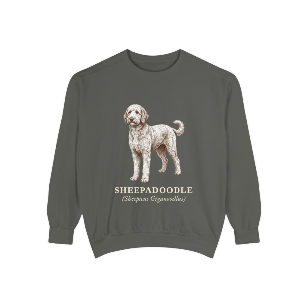 Sheepadoodle Latin Sweatshirt, Pepper, front view