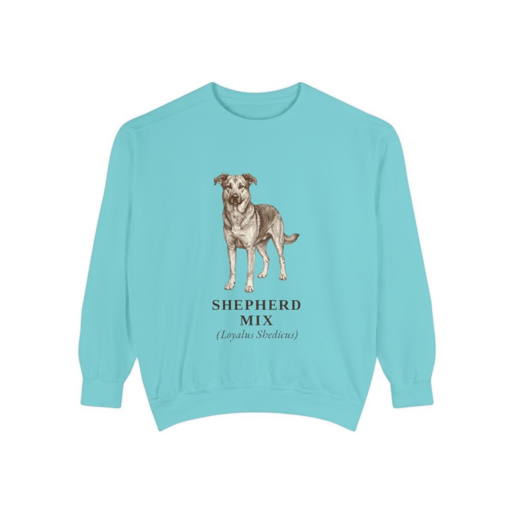 Shepherd Mix Latin Sweatshirt, Chalky Mint, front view
