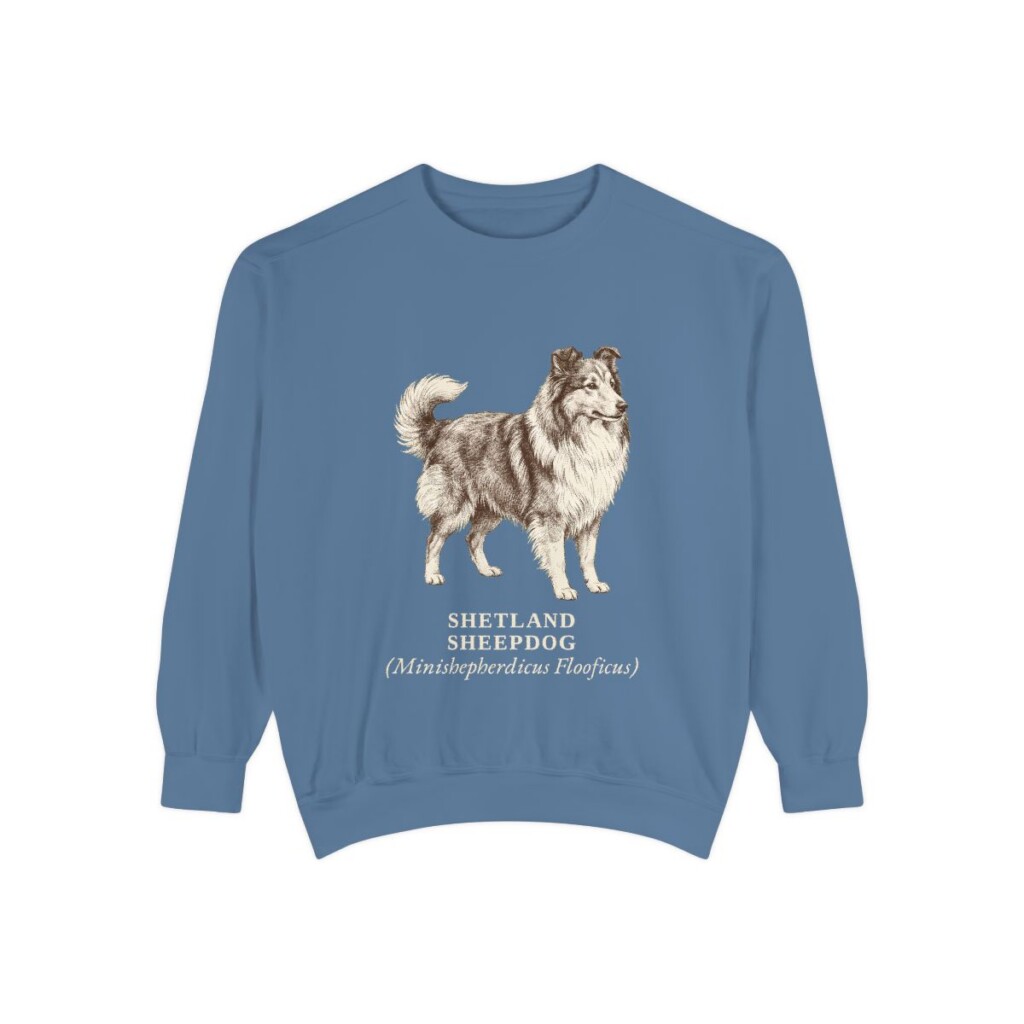 Shetland Sheepdog Latin Sweatshirt, Blue Jean, front view