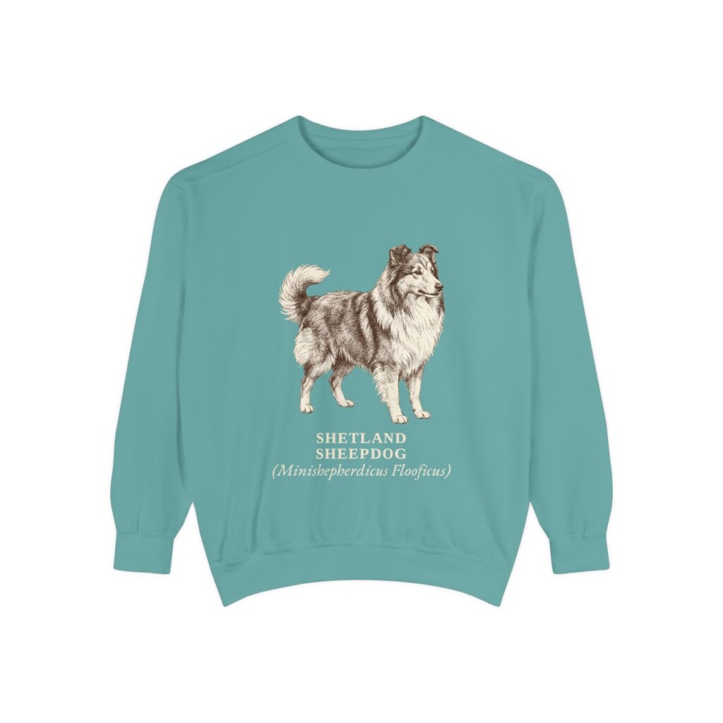 Shetland Sheepdog Latin Sweatshirt, Seafoam, front view