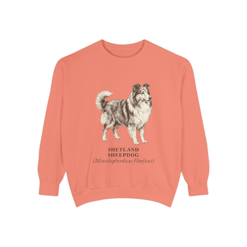 Shetland Sheepdog Latin Sweatshirt, Terracotta, front view