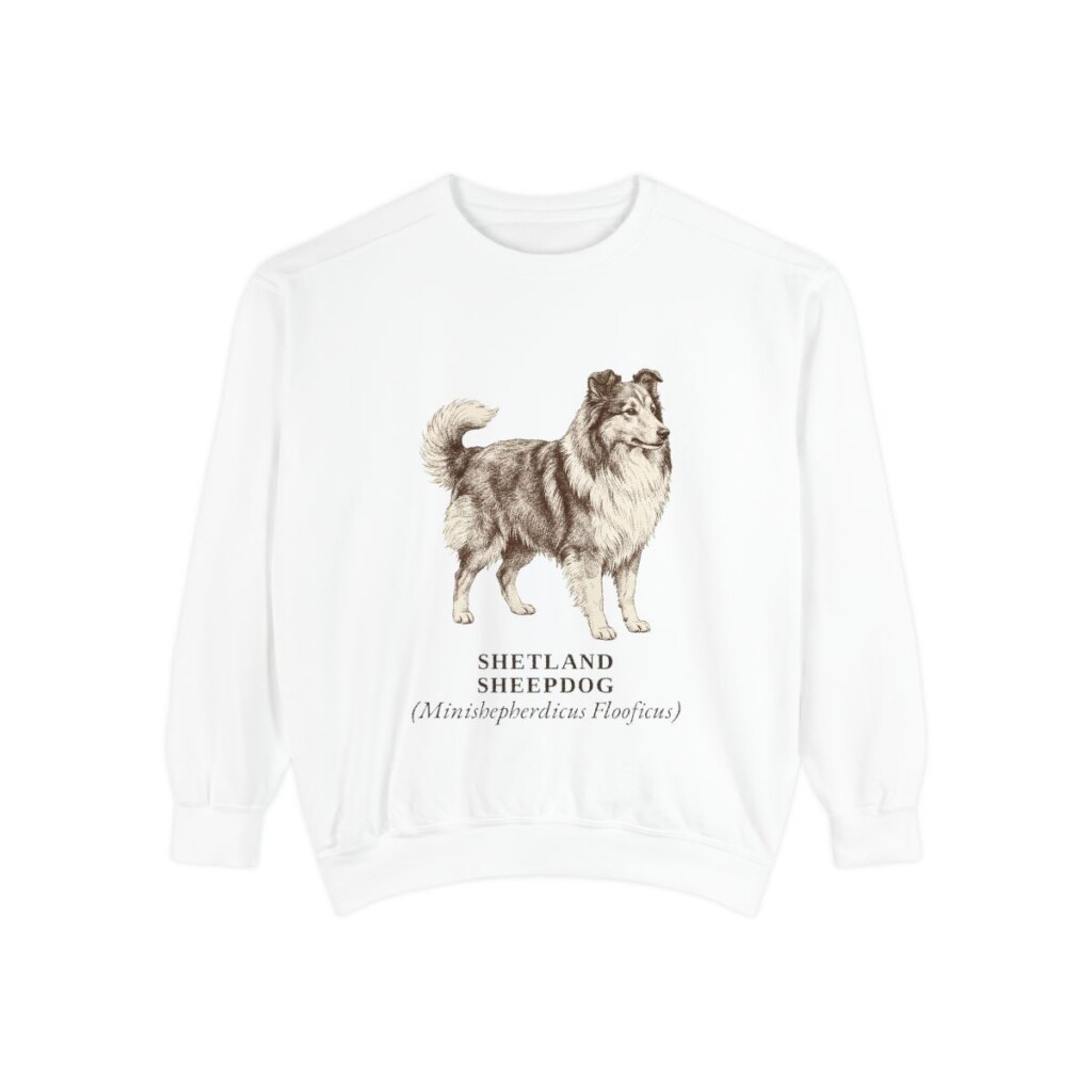 Shetland Sheepdog Latin Sweatshirt, White, front view