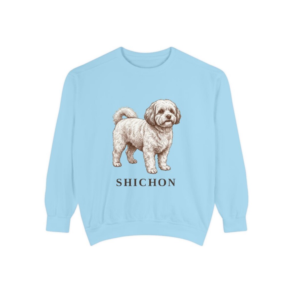 Shichon Sweatshirt, Chambray, front view