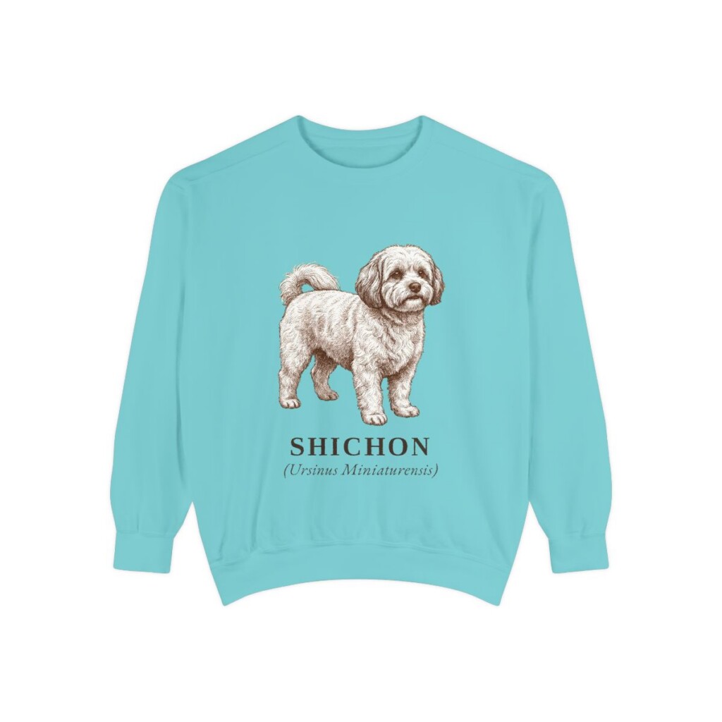 Shichon Latin Sweatshirt, Chalky Mint, front view