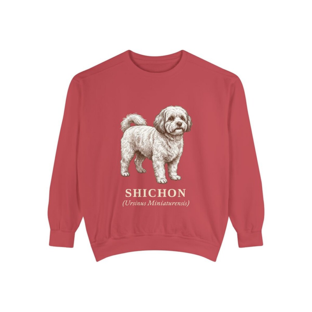 Shichon Latin Sweatshirt, Crimson, front view