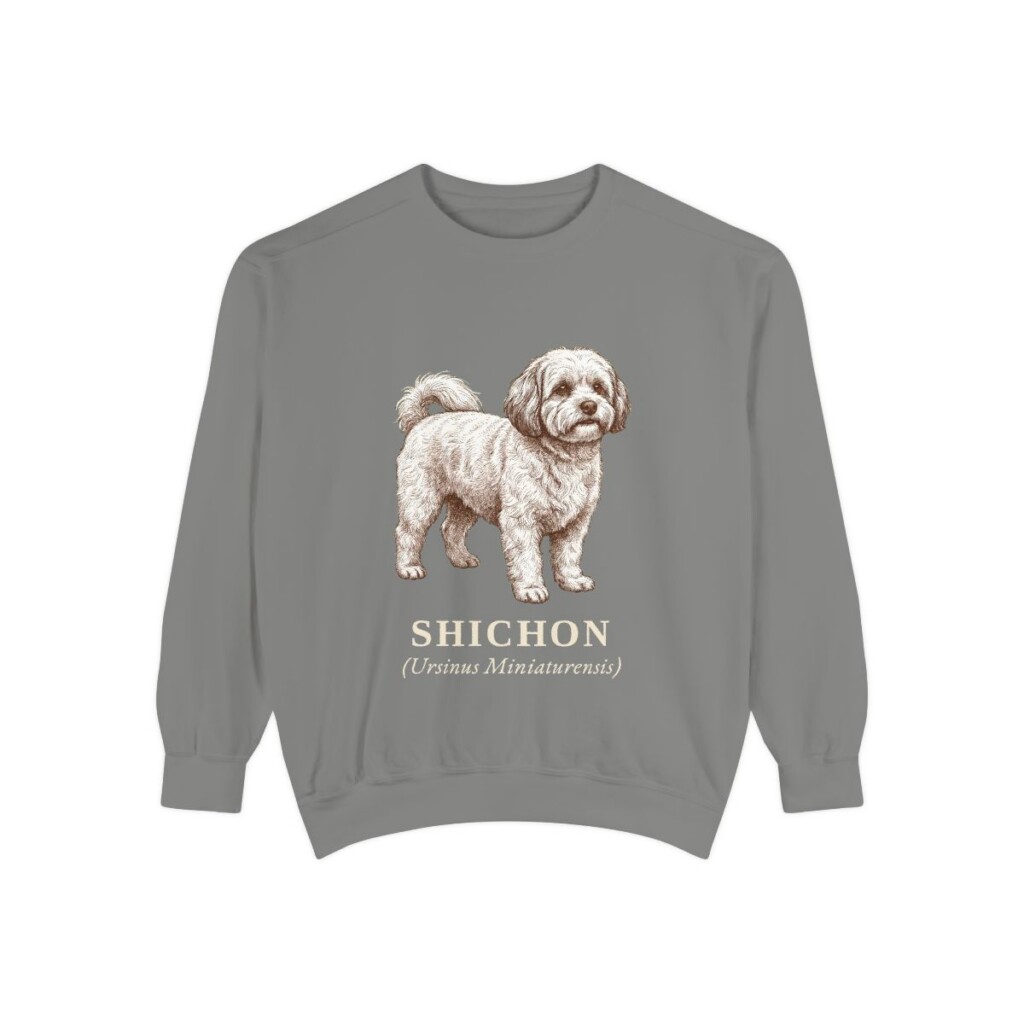 Shichon Latin Sweatshirt, Grey, front view