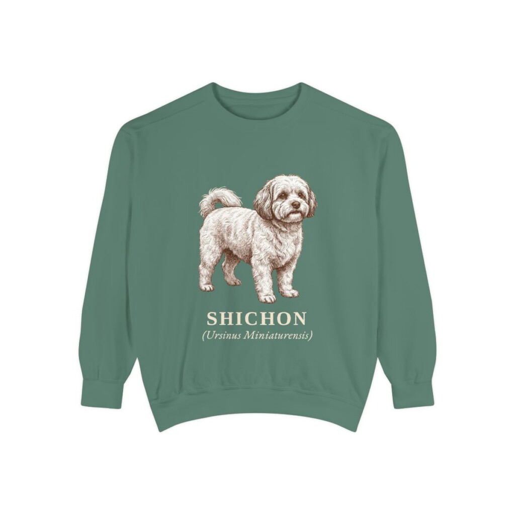 Shichon Latin Sweatshirt, Light Green, front view