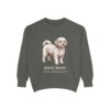 Shichon Latin Sweatshirt, Pepper, front view