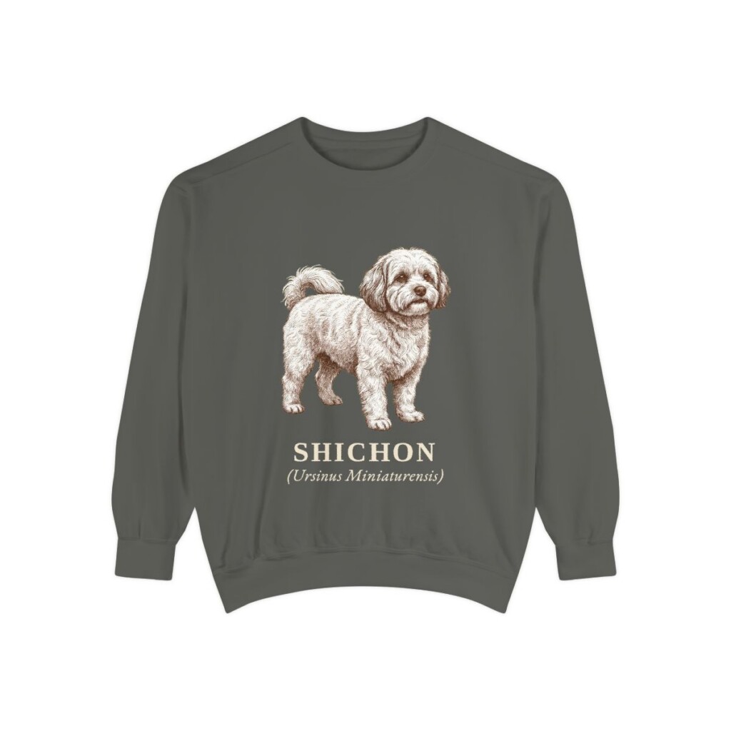 Shichon Latin Sweatshirt, Pepper, front view
