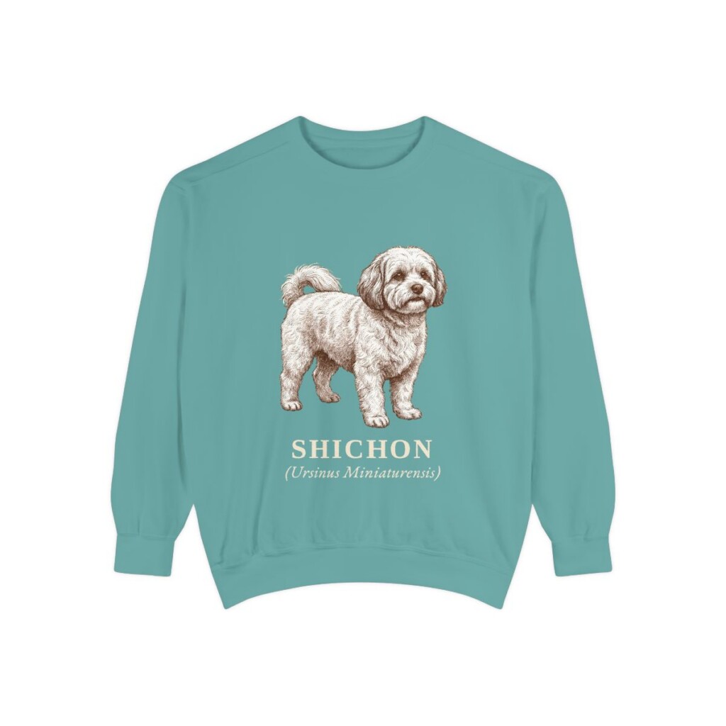 Shichon Latin Sweatshirt, Seafoam, front view
