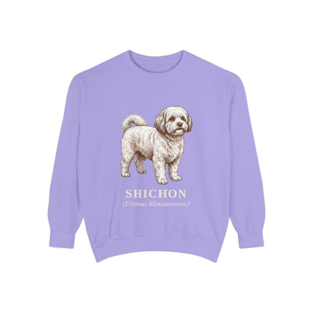 Shichon Latin Sweatshirt, Violet, front view