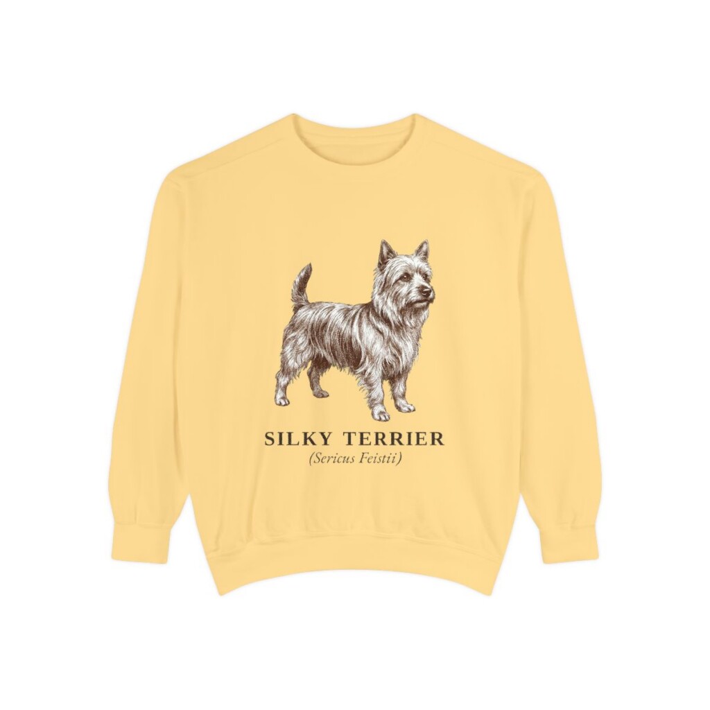 Silky Terrier Latin Sweatshirt, Butter, front view