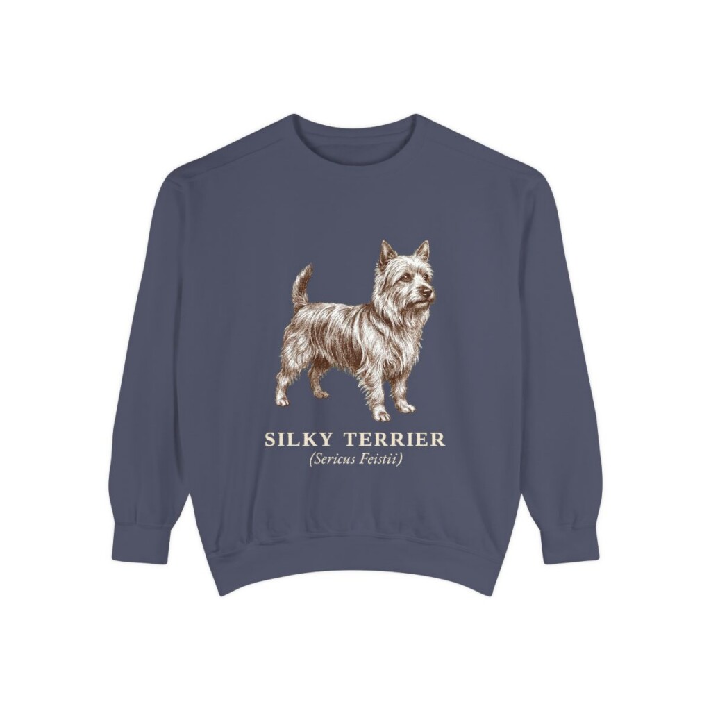Silky Terrier Latin Sweatshirt, Denim, front view