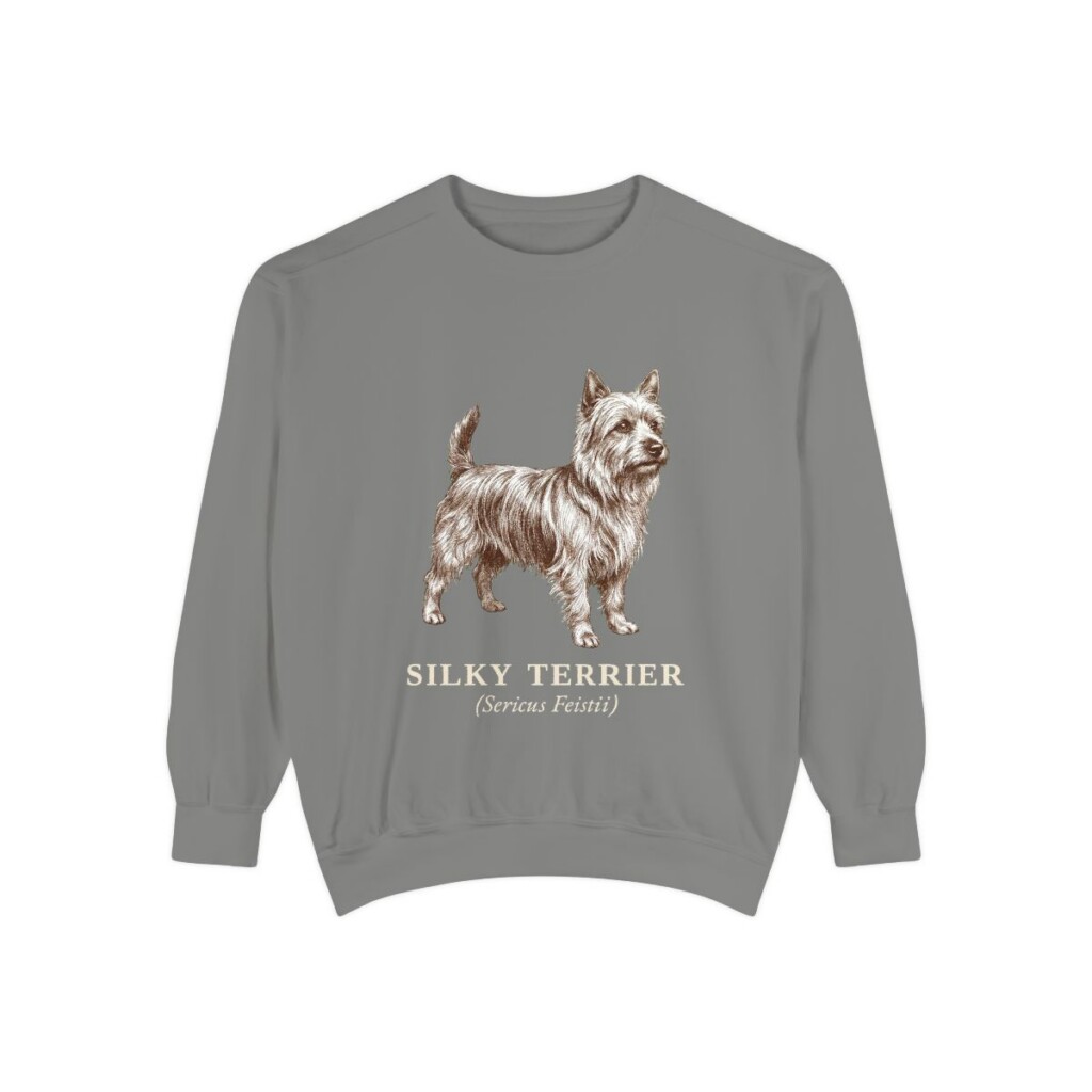 Silky Terrier Latin Sweatshirt, Grey, front view
