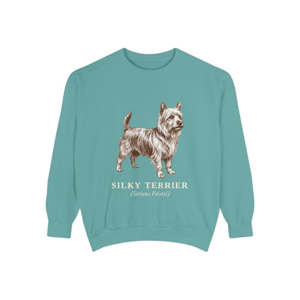 Silky Terrier Latin Sweatshirt, Seafoam, front view