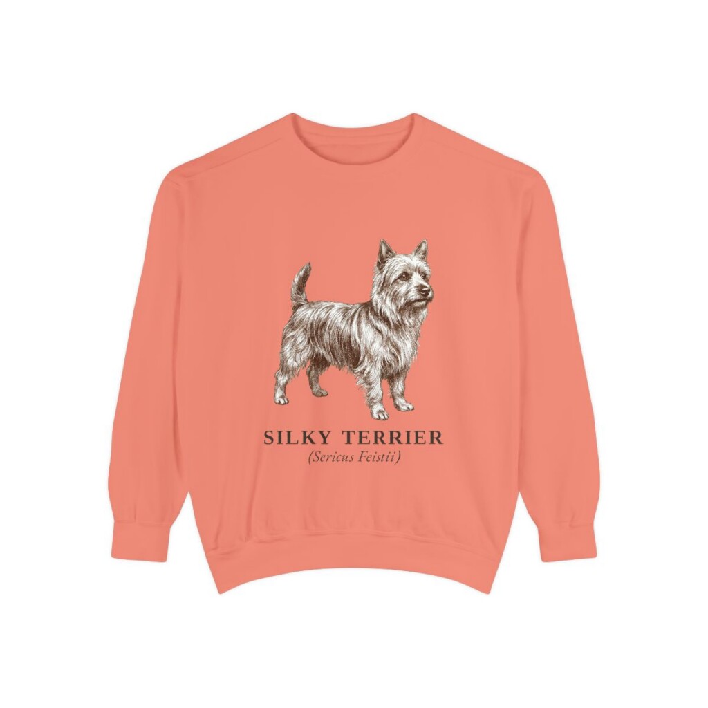 Silky Terrier Latin Sweatshirt, Terracotta, front view