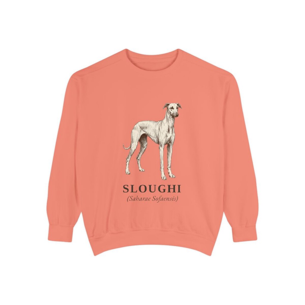 Sloughi Latin Sweatshirt, Terracotta, front view