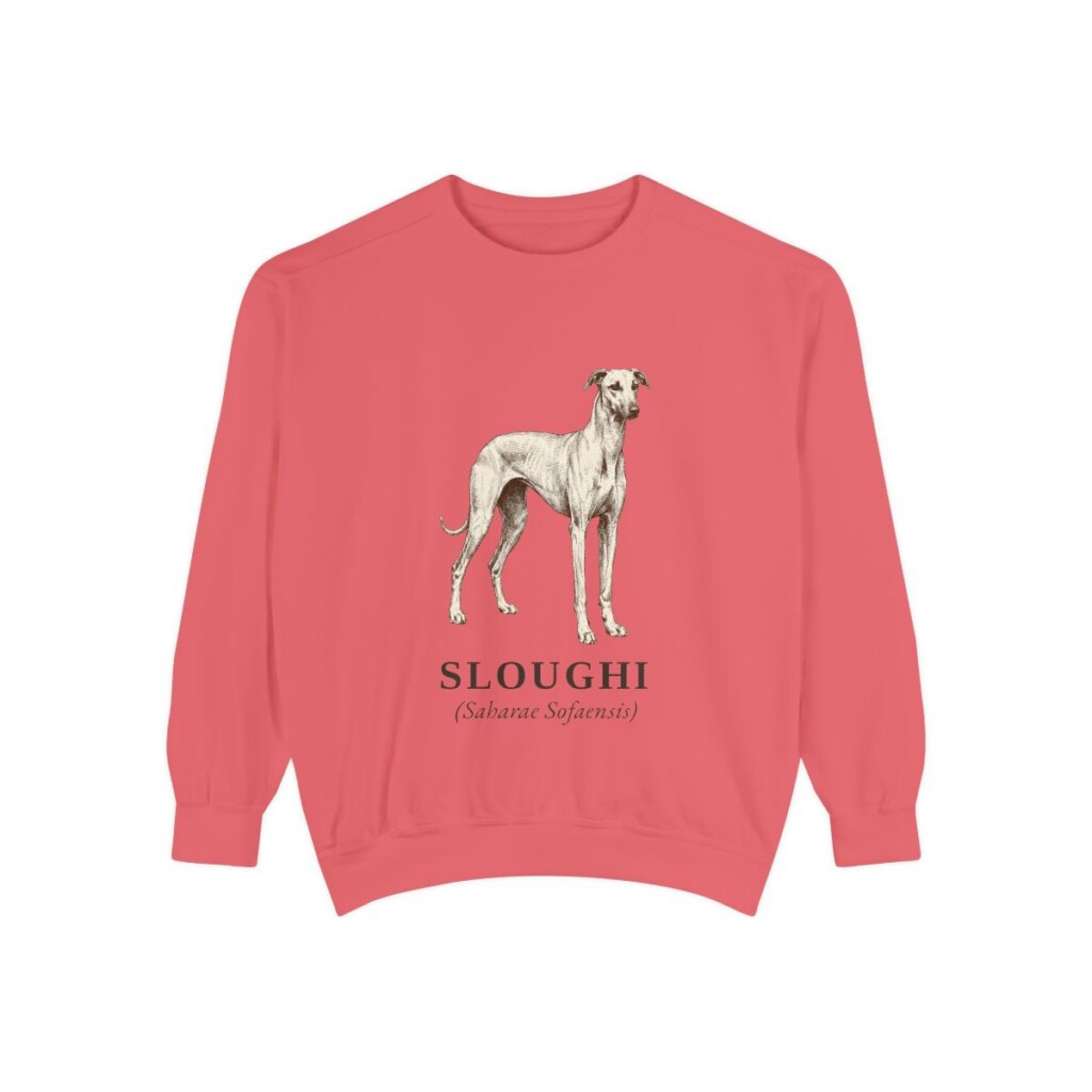 Sloughi Latin Sweatshirt, Watermelon, front view