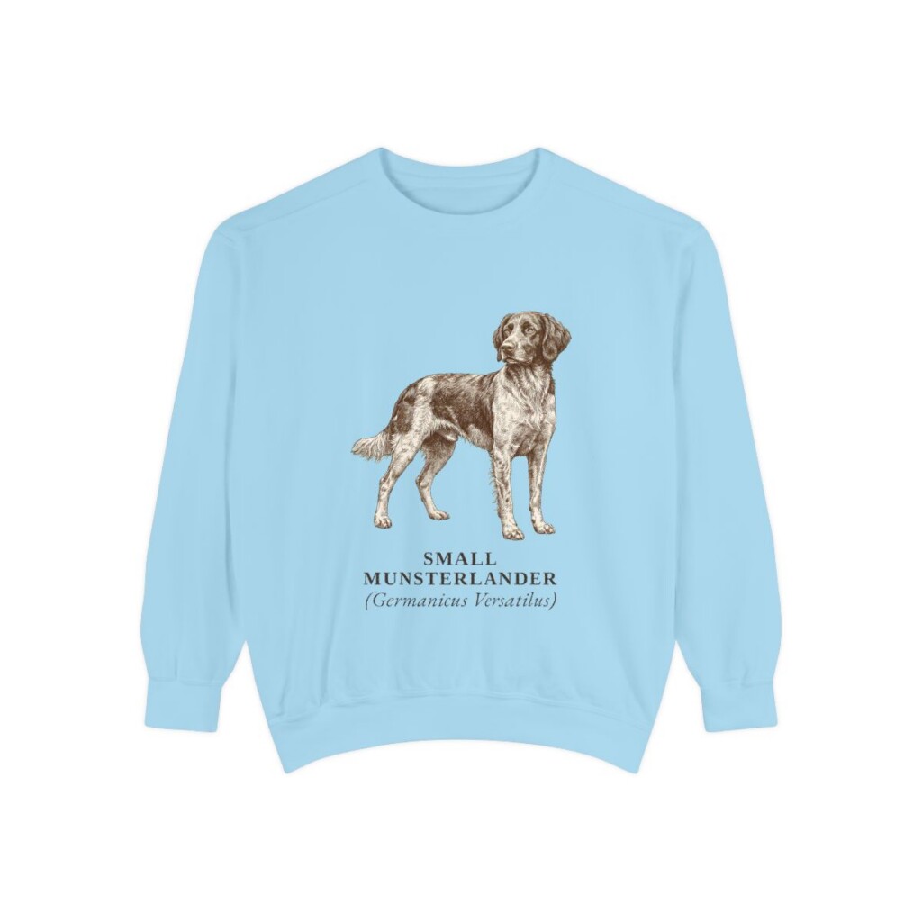 Small Munsterlander Latin Sweatshirt, Chambray, front view