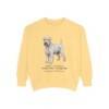 Soft Coated Wheaten Terrier Latin Sweatshirt, Butter, front view