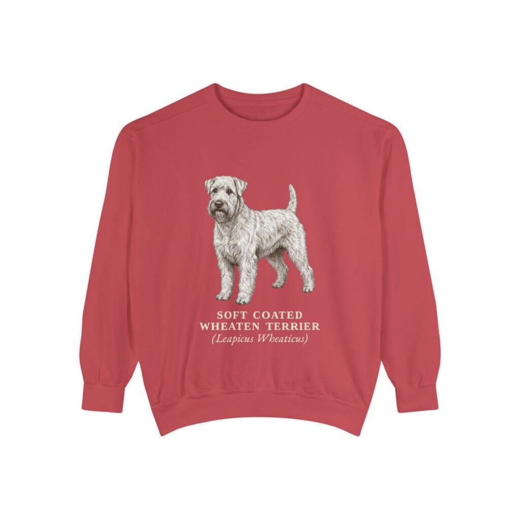 Soft Coated Wheaten Terrier Latin Sweatshirt, Crimson, front view
